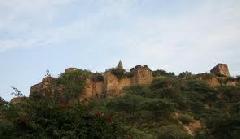 attractions--Alwar