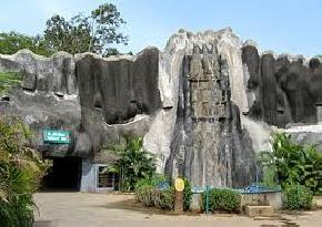 arignar-anna-zoological-park, kanchipuram