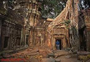 ta-prohm-temple, cambodia