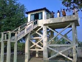 netidhopani-sundarbans