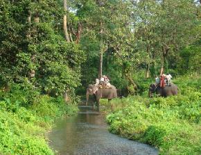 Jaldapara Wildlife Sanctuary, Kolkata