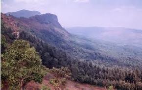 Baba Budan Giri Hills, Chikmagalur