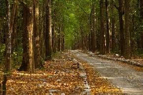 attractions-Sitabani-Corbett-National-Park