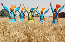 culture-of-Amritsar