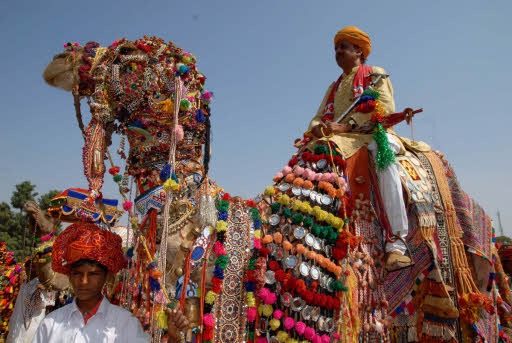 culture of Alwar