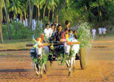 culture of Tiruchy