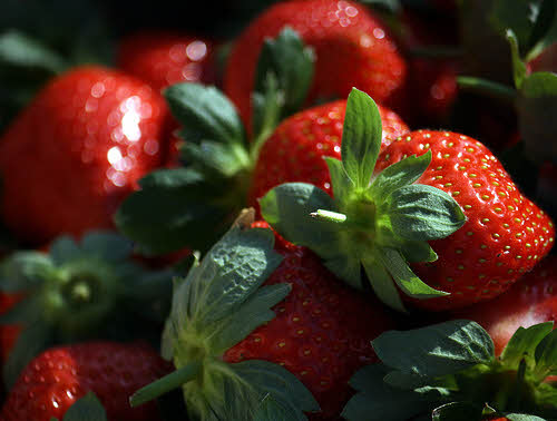 Food of Mahabaleshwar food-of-Mahabaleshwar