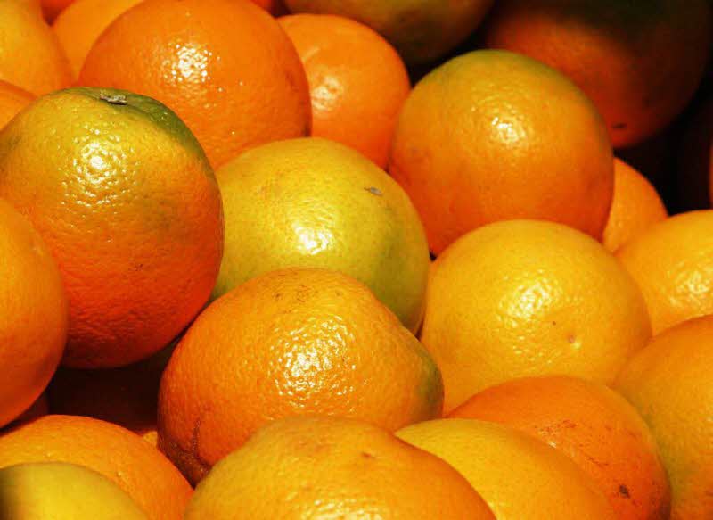 Food of Nagpur food-of-Nagpur