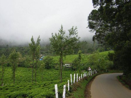 Enchanting Ooty, ooty sightseeing