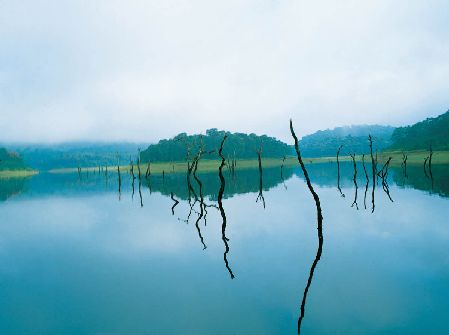 Thekkady, thekkady sightseeing