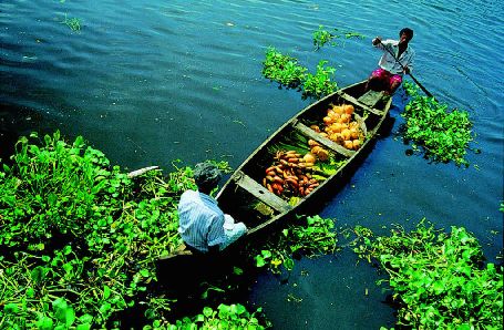 Alleppey, alleppey sightseeing