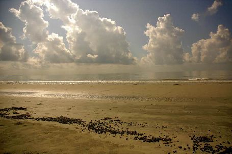 Sundarbans National Park, 
			sundarbans sightseeing