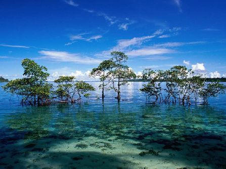 Havelock Island, andaman and nicobar islands sightseeing