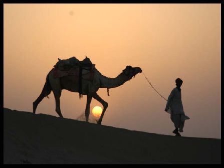 Camel Riding Jodhpur, jodhpur sightseeing