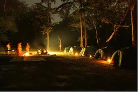 dandeli tourism