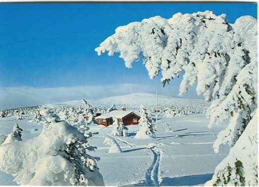 Norway-Winter
