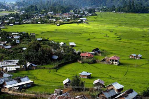 about Ziro