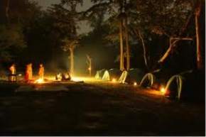 camping-in-dandeli