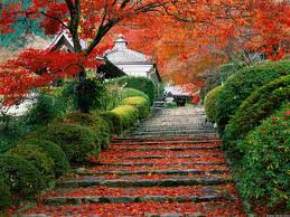 garden-in-japan