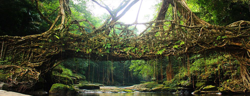 Elephant_falls, 
			shillong sightseeing