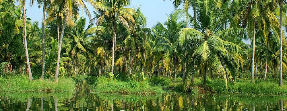 Wayanad Tourism, 
			wayanad sightseeing