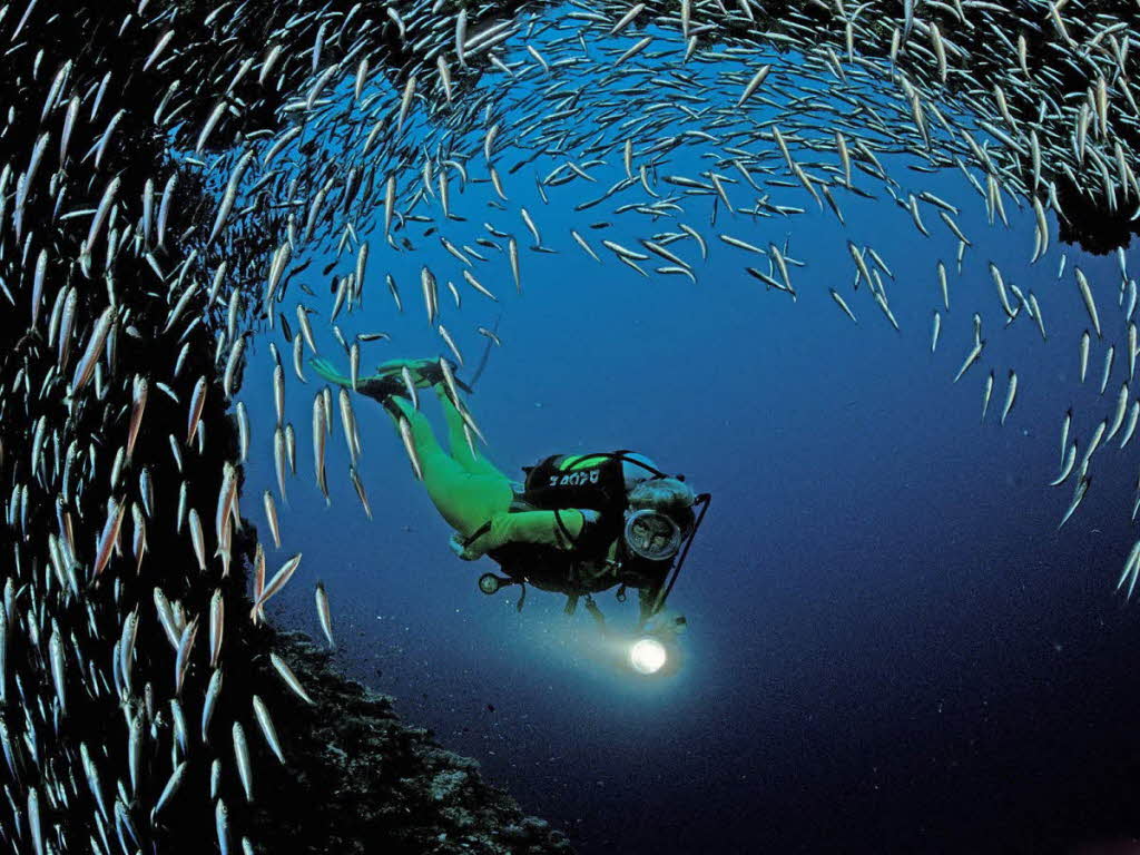 activity-Scuba-Diving-photos